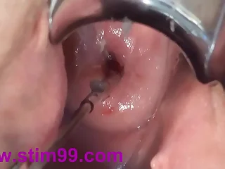 6118 pussy porn videos